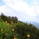 산업단지로옆L 투어코리아
