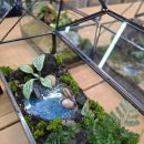 음악이 있는 힐링원예 | 대전구청 힐링 프로그램 대전가든홀릭 프리미엄 이끼 테라리움 힐링클래스 후기