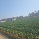 나리축산 이미지
