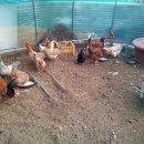 예성농장 이미지