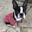 배곧파출소 이미지