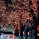 둥이축산 이미지