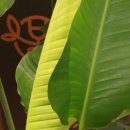 365잘봄한의원 이미지