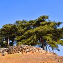 유계영당 이미지