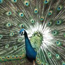 준호농장 이미지