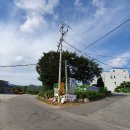 원주굽이길 2코스 700년 노송길 | 원주 굽이길 2코스 700년 노송길