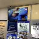 네일벨리