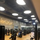 자마이카 피트니스 이미지