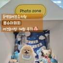 중동유치원 | 동백섬애견유치원 몽슈아퍼피 애견놀이방 체험 후기🐶