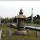 창원 봉림사지 | 보물 제362호 - 창원 봉림사지 진경대사탑