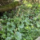 일월민박 이미지