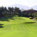 대하프라자 이미지