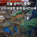 군산시수산업협동조합 | [전북 군산] 꽃게 가장 싼 날! 오늘 금어기 풀린 군산 비응항 수산시장 실시간 시세와 득템 꿀팁