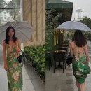 다솜플라워