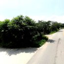 부발목장 이미지