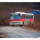 봉계공설시장 이미지