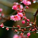 소망 태양광발전소 이미지