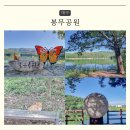 봉무공원 야영장 | 대구 가볼만한곳 봉무공원 코스 주차장 야영장 산책로 대구 명소