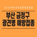 쿨펫 동물병원 이마트 금정점 | 2020 하반기 부산 금정구 광견병 예방접종 안내