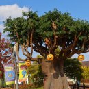 포니랜드 이미지