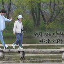 대동삼계탕 이미지