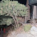 장흥약수펜션 이미지