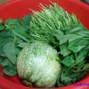 친정에밥상 이미지