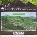 국립두타산자연휴양림 이미지