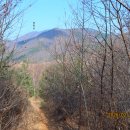 땅재 농장 이미지