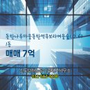 신도공인중개사사무소 | 반송동 아파트 동탄나루마을동탄역유보라여울숲1.0 신도브래뉴공인중개사사무소 매물