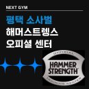 리얼 스트렝스 짐 이미지