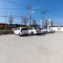 소인애낙지냉면 이미지