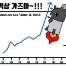 퓨전디자인 - 전주시 완산구 | 퓨전디자인