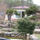 숲속민박 이미지