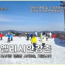 펜스키 전문정비 | 엘리시안강촌 스키장 스키강습 이용 후기
