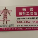 체형&채형 이미지