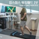 워킹/조깅 | 집에서도 할수있는 슬로우조깅, 킹스미스 워킹패드 Z1F 최종후기
