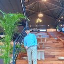 팍스디엠지 이미지