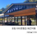 포항 애견운동장 애견카페 : 자명 놀다가개 솔직후기