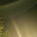 캠프더 포레 이미지