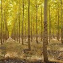 미루농장 이미지