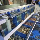 문화의거리 신천1 이미지