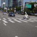 더블유 태양광발전소 이미지