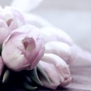 골프존파크 석촌호수점 이미지