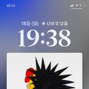 유애플 이미지