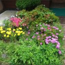 밀라노펜션 이미지