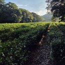 고산사목조석가모니불좌상 | [고창 선운사] 금동지장보살좌상에 얽힌 이야기, 선운사 방문후기!