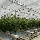 민정욱농장 이미지