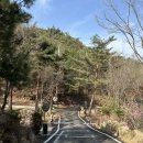 그린스톤캠핑장 | 문경 그린스톤오토캠핑장 A5사이트 후기!