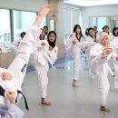 대영태권도장 이미지